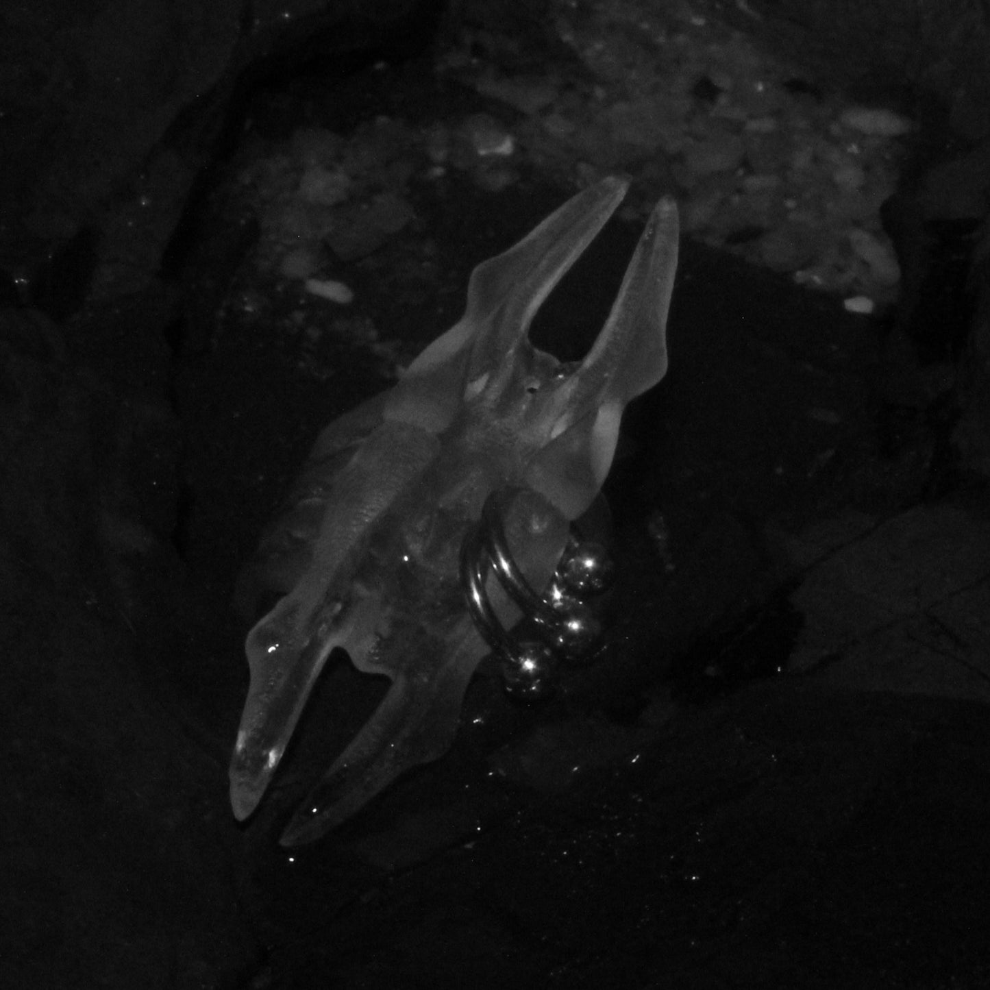 FLUX MIDI RING- Clear