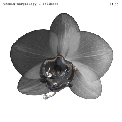 0RCHID HUSK イヤリング-レッド